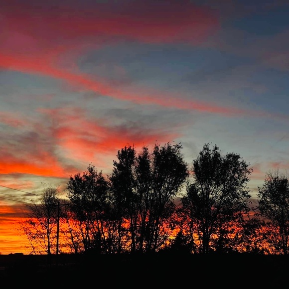 Meet your Posher, Lee - Picture 2 of 2